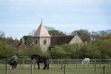 Wall Mural - horses with St Peter and St Paul Church West Wittering West Sussex England in the background