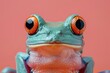 Vibrant and minimal frog costume on a lively pink background, perfect for themed parties