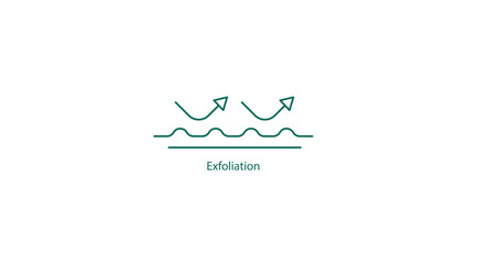 Canvas Print - Vector Icon: Exfoliation Procedure Symbol