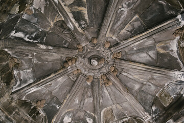 swallow nests on the ceiling