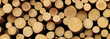 banner with logs, round wooden ends as background, texture. woodworking.