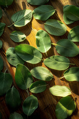 Aufkleber - Sage leaves scattered on a shaman's table, each leaf casting a shadow of a spirit anima