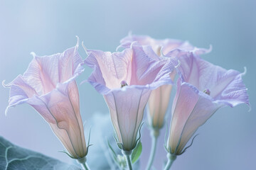 Poster - Surreal vision of datura flowers with stems that twist like DNA helices, petals unfolding in Fibonacci sequences,
