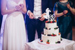 A bride and a groom with their wedding cake