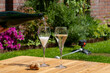 Picnic in summer garden with glasses of brut champagne sparkling wine or cava, cremant produced by traditional method