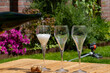 Picnic in summer garden with glasses of brut champagne sparkling wine or cava, cremant produced by traditional method