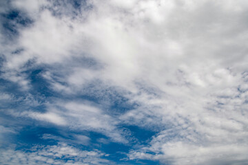 Wall Mural - The sky is blue and cloudy. The clouds are white and fluffy