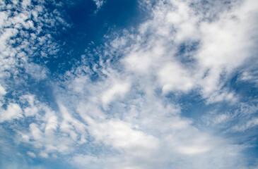 Wall Mural - The sky is blue and cloudy. The clouds are white and fluffy