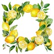 Watercolor Lemon Wreath Illustration - Citrous Fruit Chaplet for Decoration, Art, Card