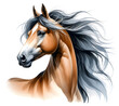 Horse. Horse head. Stallion. Portrait. Watercolor. Isolated illustration on a white background. Banner. Close-up