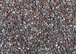 poppy seeds texture background. top view