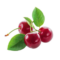 sour cherry isolated on white or transparent background