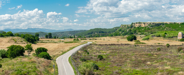 Wall Mural - View from a height of the ancient city of Perge. Ancient city surrounded by dense green vegetation.