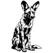 Drawing of African Wild Dog sitting engrave hand drawn animal illustration, transparent background