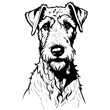 Ink Airedale Terrier portrait drawing, black silhouette animal vector, isolated animal