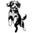 Silhouette of Aussiedoodle jumps drawing, black silhouette animal vector, isolated animal