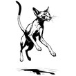 Vector Abyssinian jumps black hand drawn animal illustration, transparent background