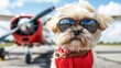Dog wearing aviator sunglasses in front of a small red airplane. AI.
