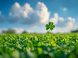 A four-leaf clover stands out in a field of three-leaf clovers. AI.