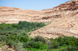 Green valley among desert mountains in south Morocco