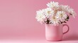 Closeup white bunch chrysanthemums flower in pink cup isolated on a pink background. AI generated