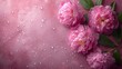 Elegant Pink Peonies on Dewy Surface for Women's History Month