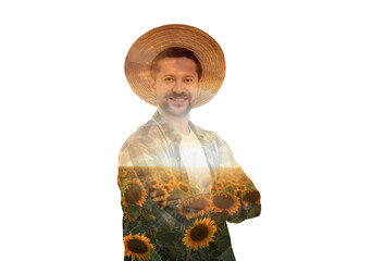 Poster - Double exposure of farmer and sunflower field on white background