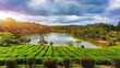 Lake in biggest tea plantations Bois Cheri on Mauritius Island. Panorama of the popular tea plantation of Mauritius, Bois Cheri, at a wonderful summer day.