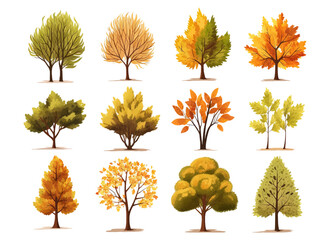 Wall Mural - watercolor hand drawn set with illustration of autumn colorful deciduous trees isolated on white bac
