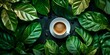 a cup of coffee with leaves on a dark green background, generative AI