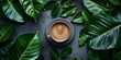 a cup of coffee with leaves on a dark green background, generative AI