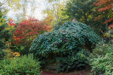 Canvas Print - Autumn view at Mount Macedon