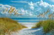 Nature landscape photography of a beautiful coastal dunes scene with grasses swaying in the breeze and clear sky, A tranquil beach with soft sunlight.