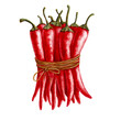 watercolor drawing red chili peppers isolated at white background, hand drawn food illustration