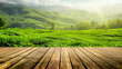 A lush green field with a wooden platform in the foreground. The platform is surrounded by a beautiful landscape of hills and trees. The sc is peaceful and serene, with the natural beauty of the field