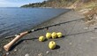a quince with a fishing rod angling by the shore upscaled 4