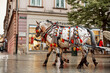 Vintage elegant carriages with beautifully dressed horses ride people around the historic center of Krakow on the old streets of Europe.