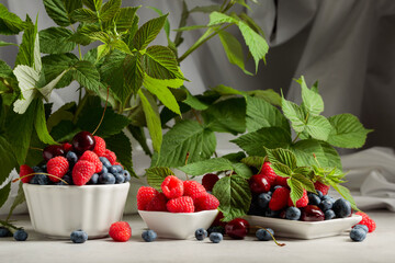 Wall Mural - Colorful assorted mix of blueberries, raspberries, and sweet cherries.