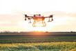 Drone flying over agricultural field and spraying crops in sunset.