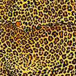 Vibrant and seamless leopard skin texture suitable for backgrounds and textiles