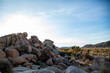 Sunlit boulder stacks and Joshua trees in desert expanse
