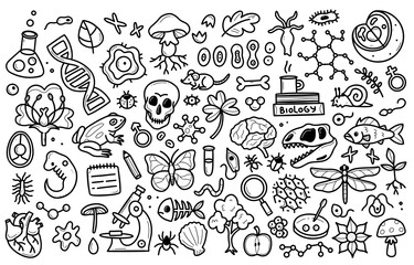 biology doodle set. collection of black and white hand drawn elements science biology. illustration 