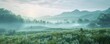The morning fog gently lifts over the lush green fields, revealing a tranquil landscape of rolling hills and majestic mountains in the distance