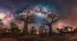 Galactic Core of Milky Way over Baobab Trees
