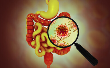 Wall Mural - Virus or bacteria infected human digestive system. 3d illustration