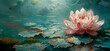 Water lily in the pond with lotus leafs and reflection