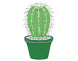 Grüner Kaktus im Blumentopf isoliert auf weißen Hintergrund, Freisteller