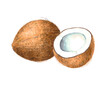 Kokosnuss isoliert auf weißen Hintergrund, Freisteller