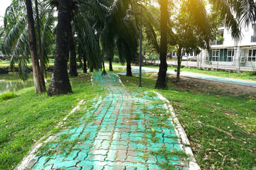 Walking path for exercising in the park