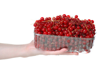 Wall Mural - Plastic container with red ribes in hand on white background isolation